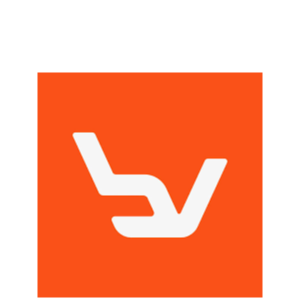 Beyond vision logo
